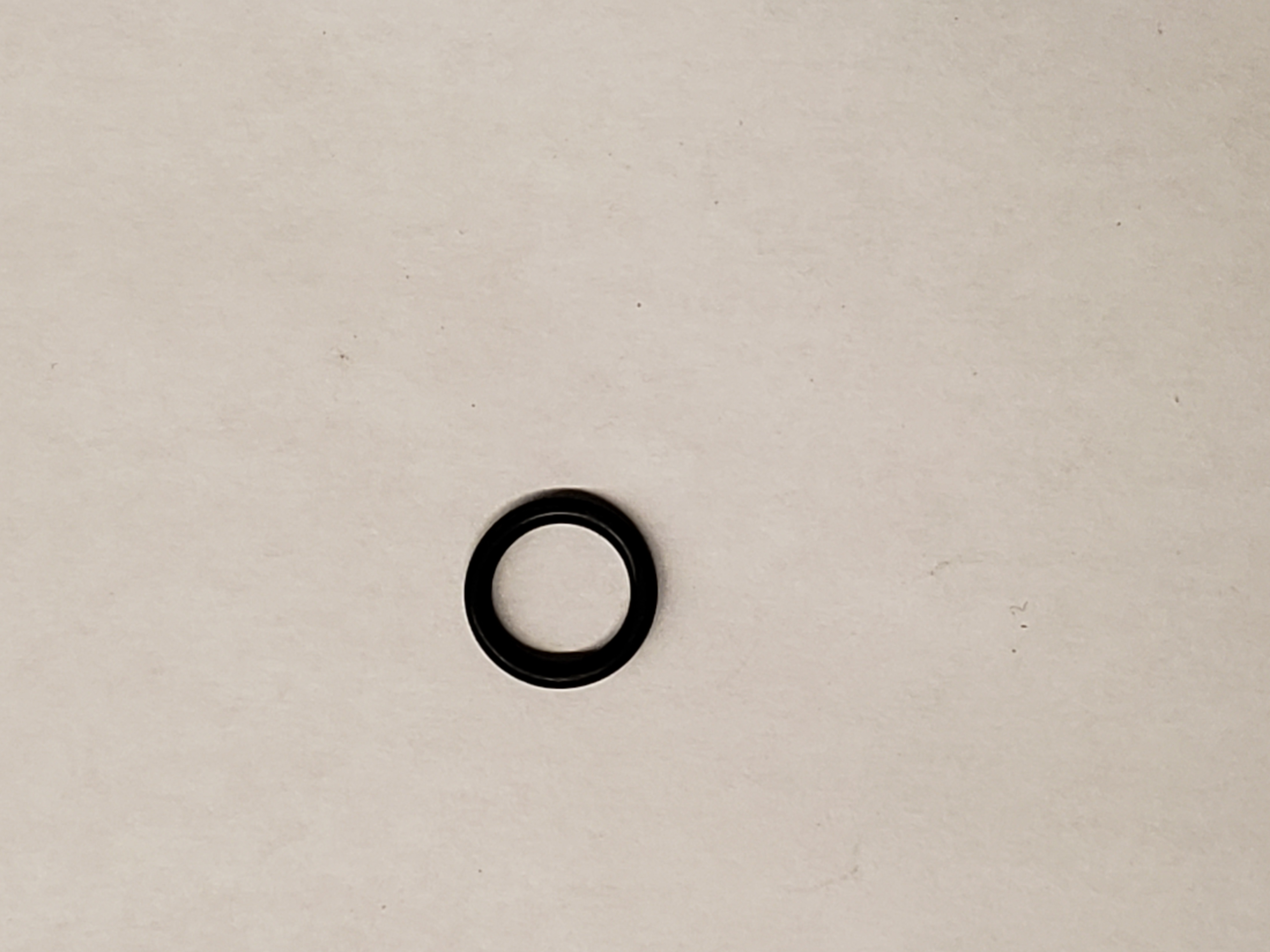O-Ring, P10