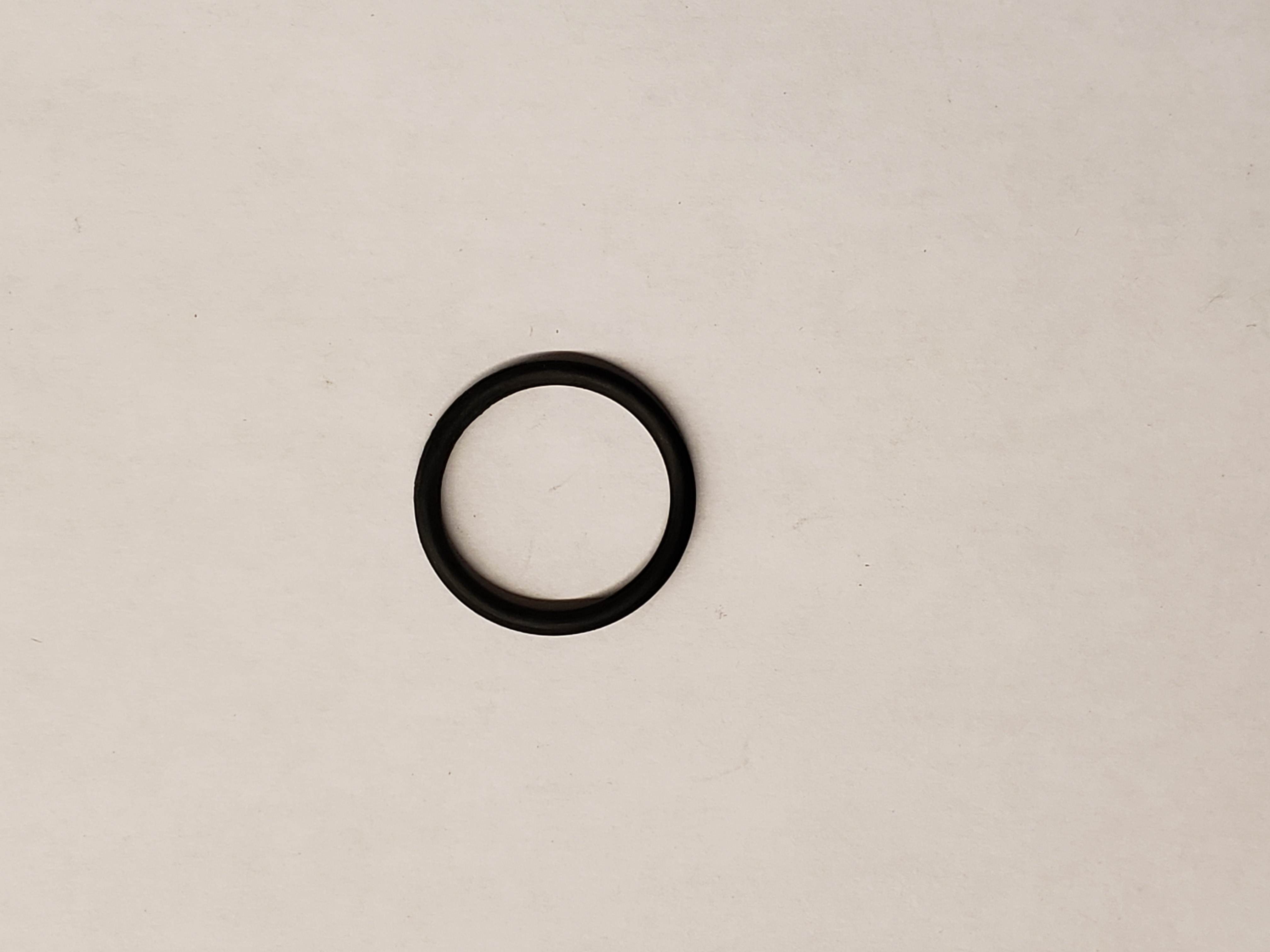 O-Ring, P21