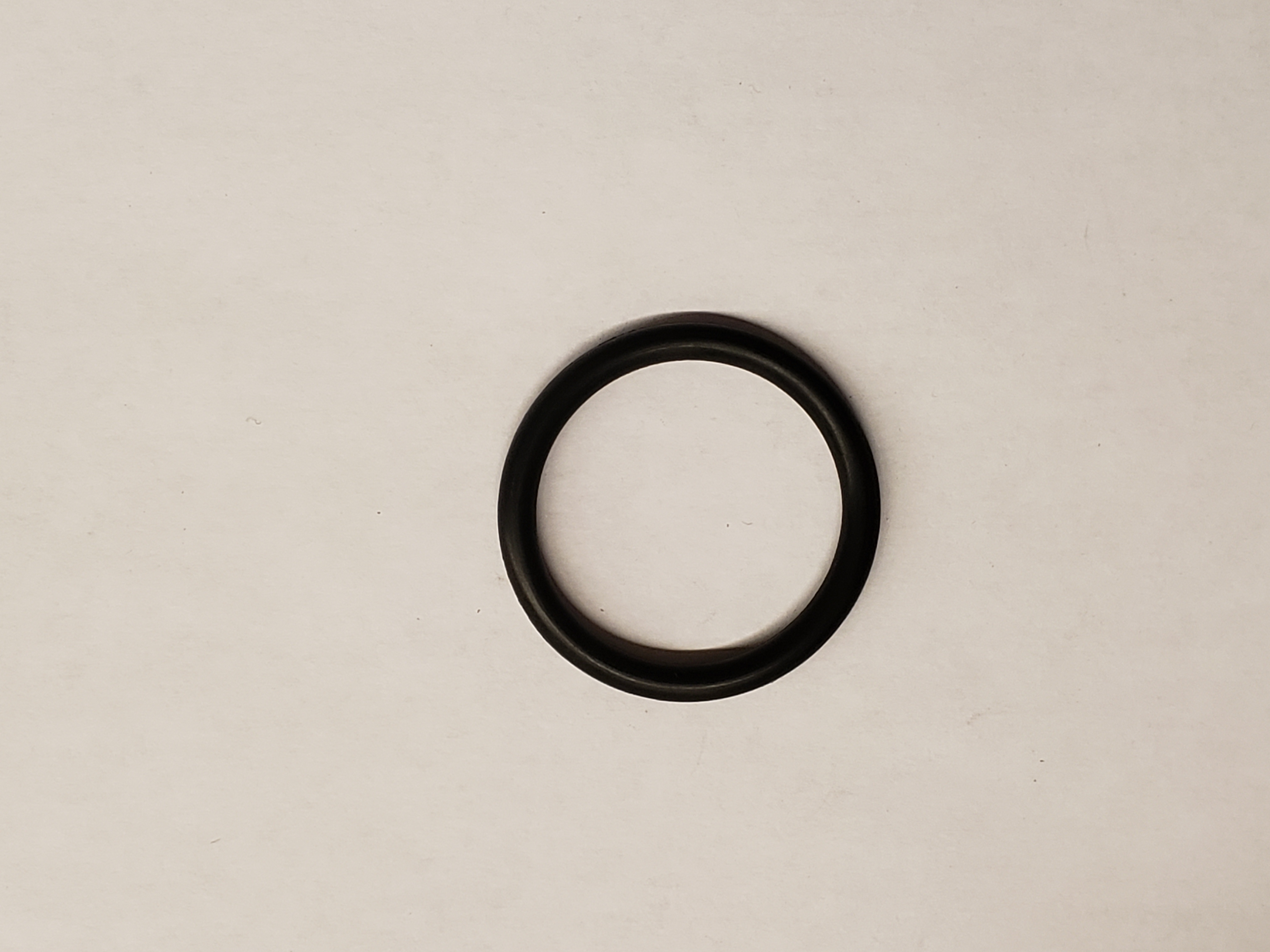 O-Ring, P28