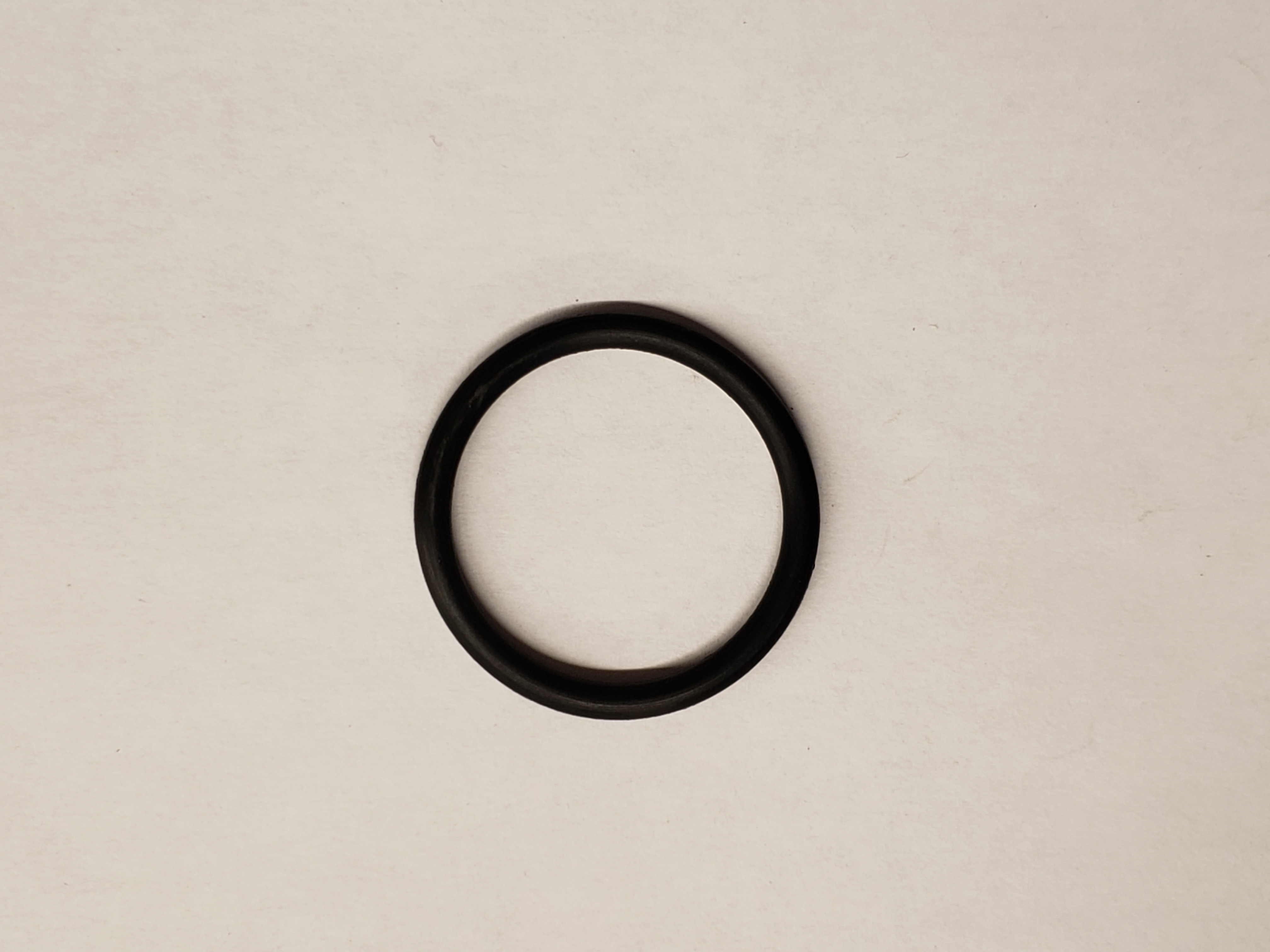 O-Ring, P31