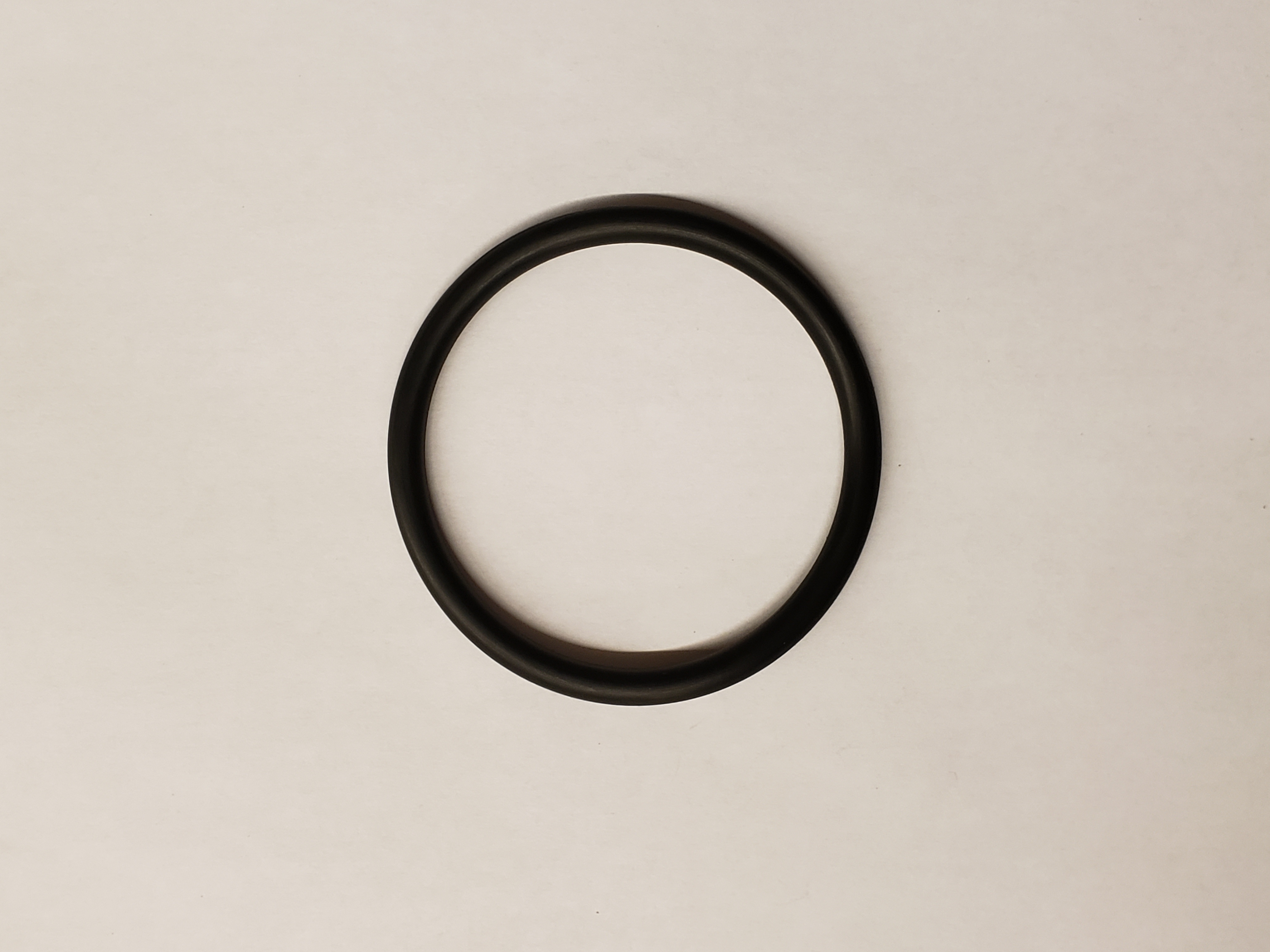 O-Ring, P65